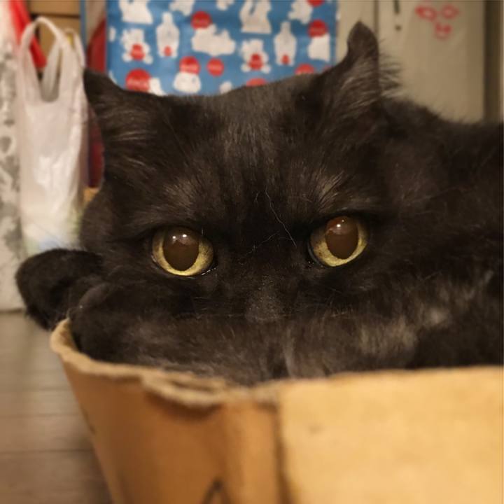 648a222d 497c 437f 8dbb 7640b67de731 1535385655521