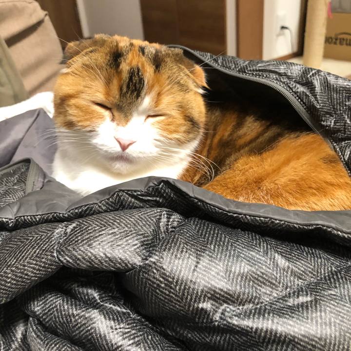 648a468d 940a 4d80 806f 8f4fe463e0c4 1606654455733