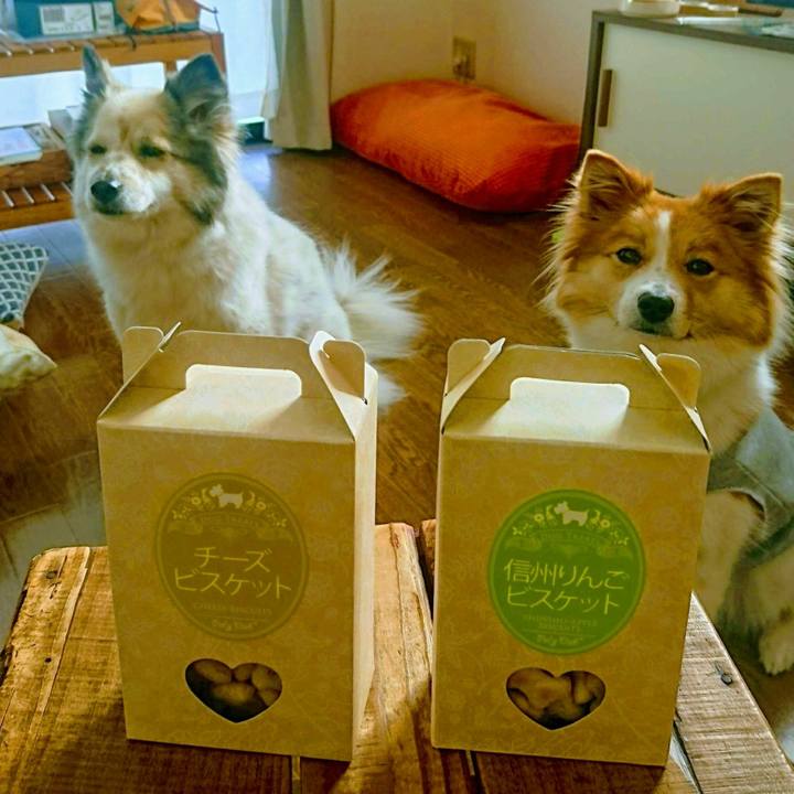 648a6605 0147 4347 9615 af0859ad0d40 1552569565088