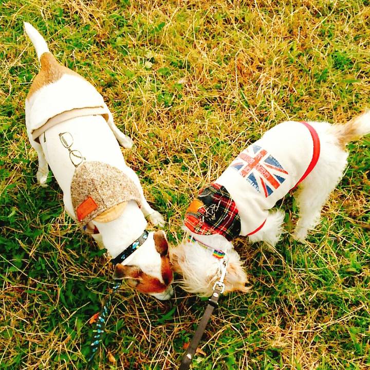 648a81e3 7c2a 4bda ad7c e6b98b2a2580 1510466195074