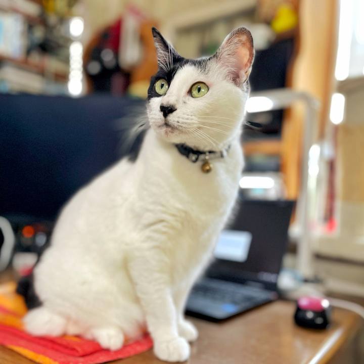 648a9d0d 5979 4440 ab64 6a5cd84cfe07 1725419035445