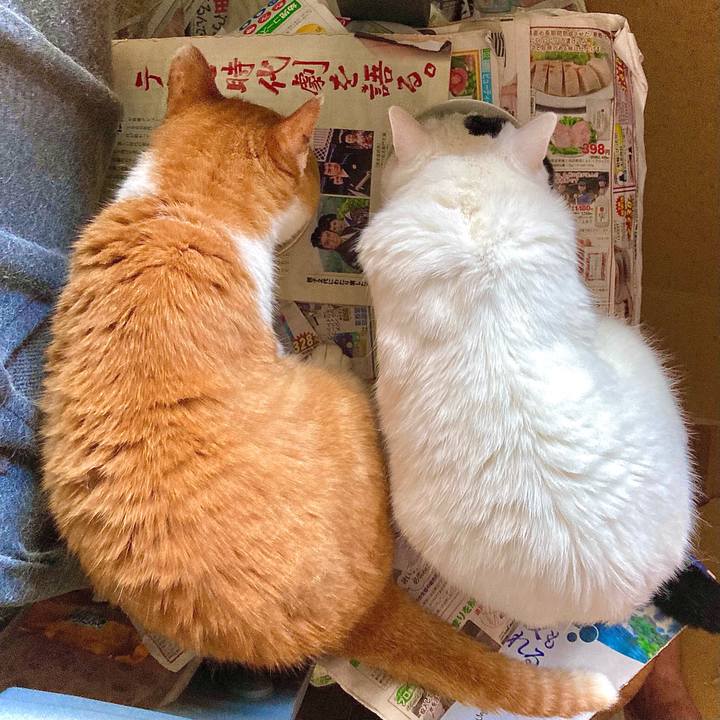 648acb20 8ae3 44f8 9211 6c3e729b0fc6 1692253795332