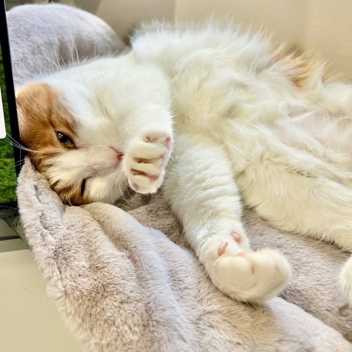 648b0db9 2c0c 425d 8e04 cf410ba48351 1771824370130