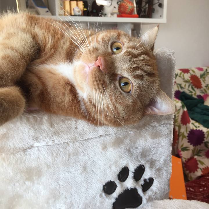 648b2599 eb2d 42f5 b92c 11a248edec7e 1553033009657