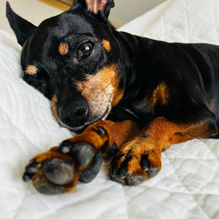 648b4378 96d4 41de a55f 852816135424 1757543419684