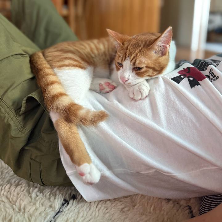 648b4a68 089b 45bb b9cd 0413f2a38e54 1761024568654