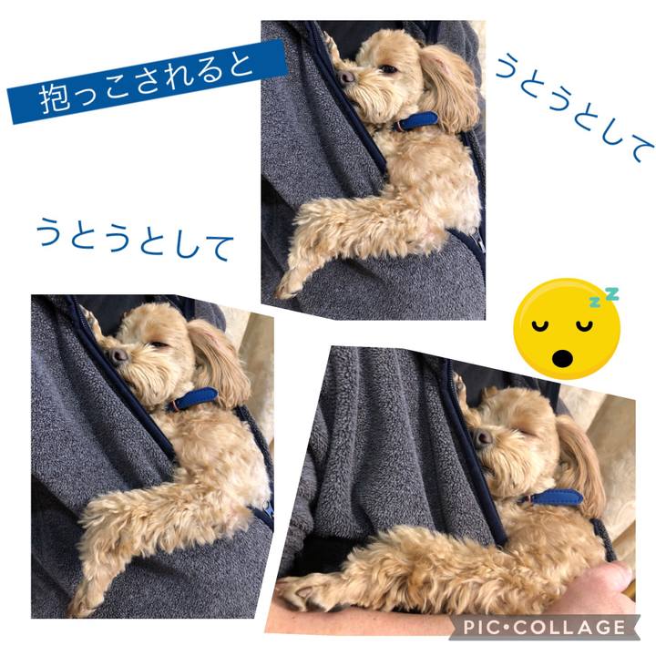 648b68f6 8445 46c4 94fd 0f2b3c3844d5 1642453788291