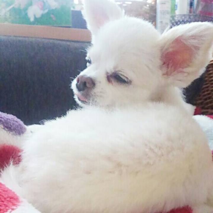 648b7213 3476 4a49 afac 008b4205659f 1553834408418