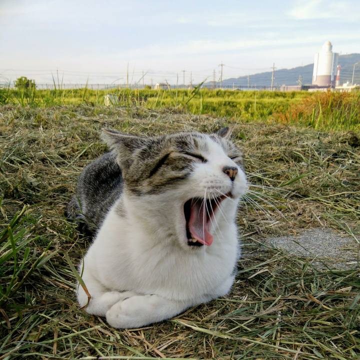 648b82db d790 4f17 9efd f47d939b2e4f 1558092505933