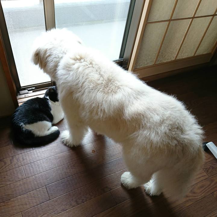 648b9910 6742 47ac ab07 4c5a3c53a7d5 1566168408436