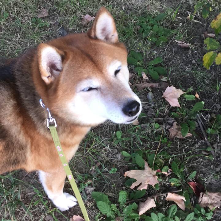 648bef87 793c 422e b623 bd9a87f6ee1f 1605251125133