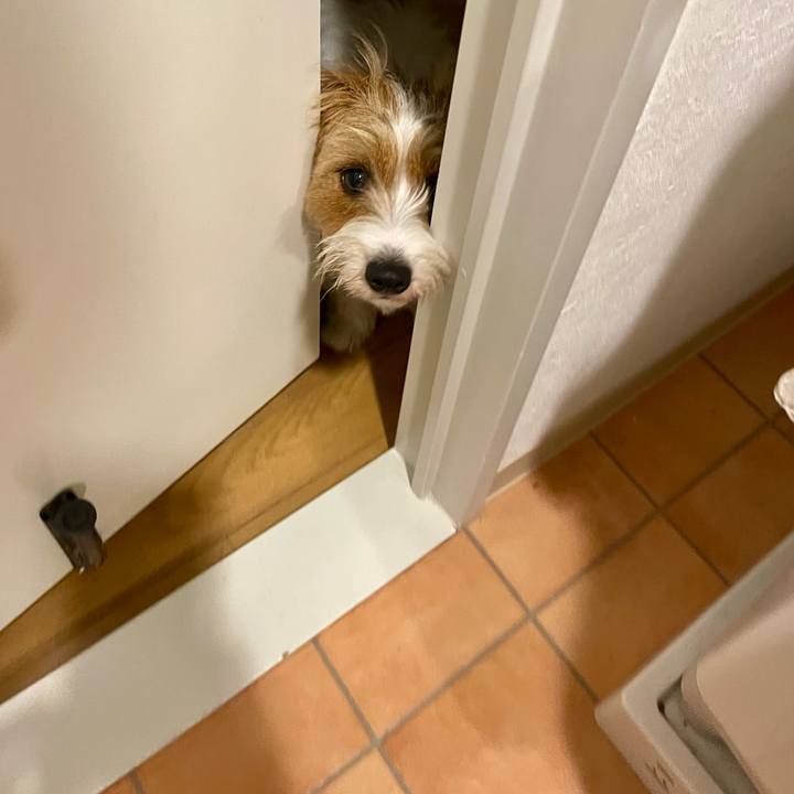 648bfe69 e461 4da3 a562 d0aab82dfed9 1776901395271