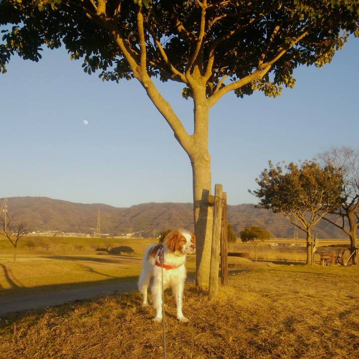 648c1060 34df 4a75 a4bb 6c66b0f3447a 1547907375750