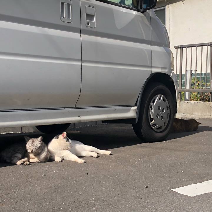 648c15a6 4d57 4b2d 8293 db6985227323 1584027369865