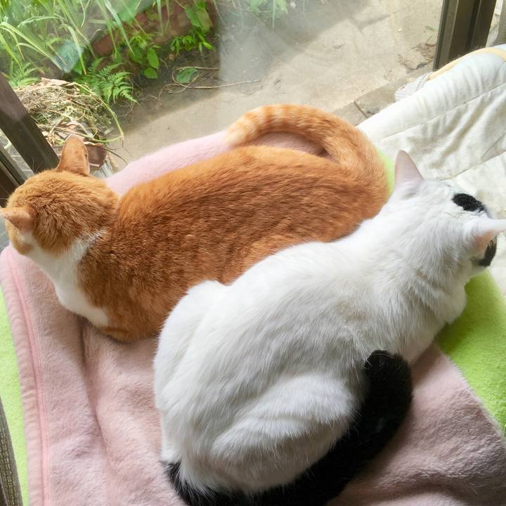 648c1725 e0ec 42e0 8efb d467d0b424a0 1561603583959