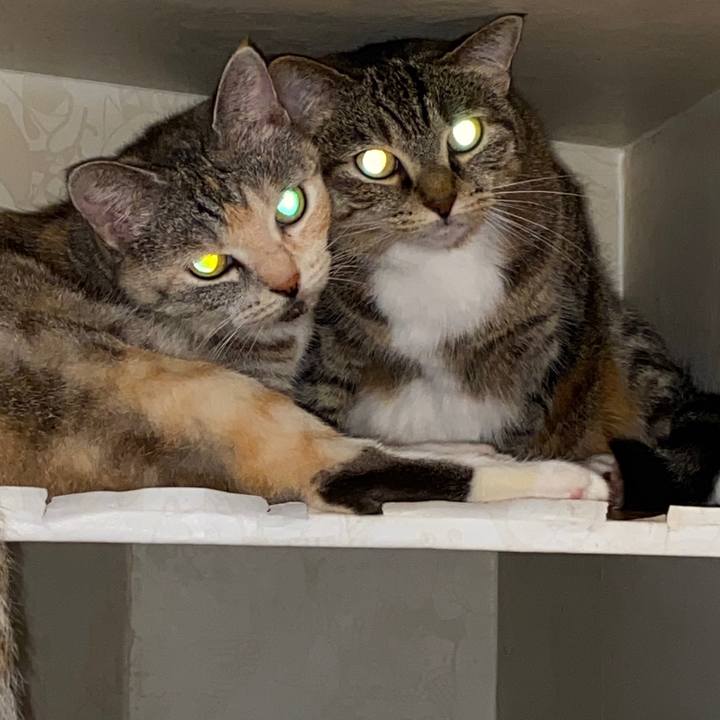 648c19a3 c38e 45a4 b031 6482142b7ca4 1595085967170