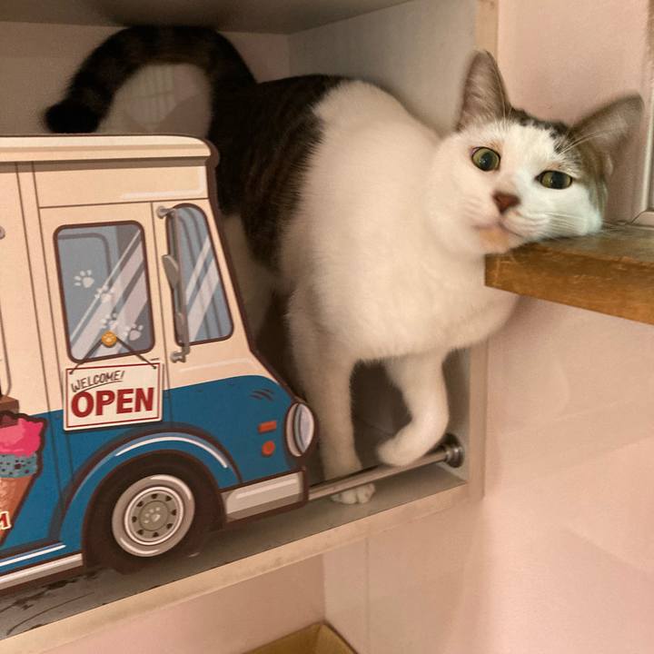 648c2b94 9dd2 41df a774 5c8c4b0965f3 1702457703699