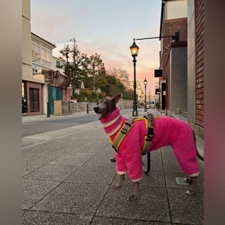 648c3fe1 d4d9 4b3d 8822 0cd110d9f7c1 1766134747223