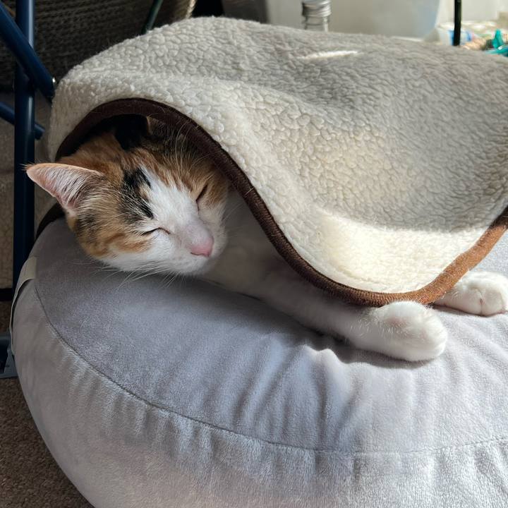 648cabce 450c 425b 8aea 17e064207145 1772847303837