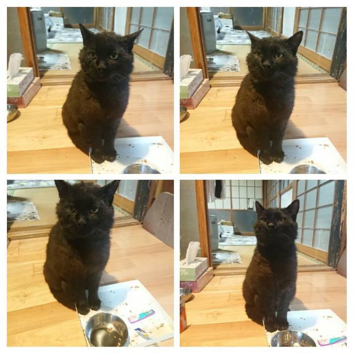 648ce519 3158 4c50 ae9a 8c37f6c1fbcb 1622110335790