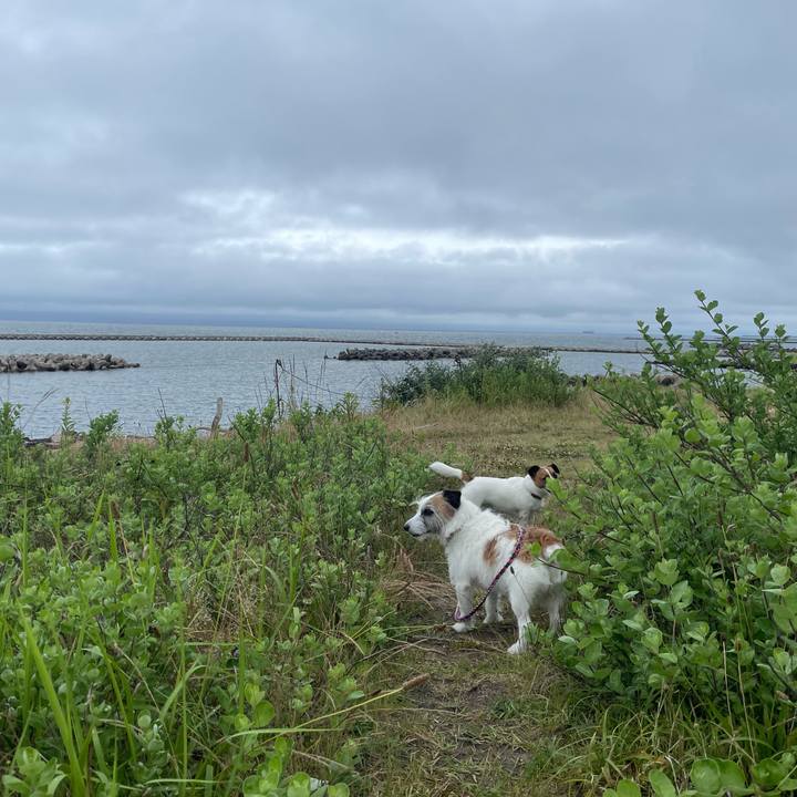 648cf03e c2ad 4fec ba4c a86a402b02d2 1750655003161