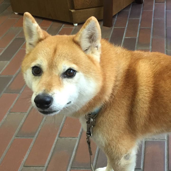 648cfd7f 935a 43aa 84f5 78f7fa770e95 1538487822283