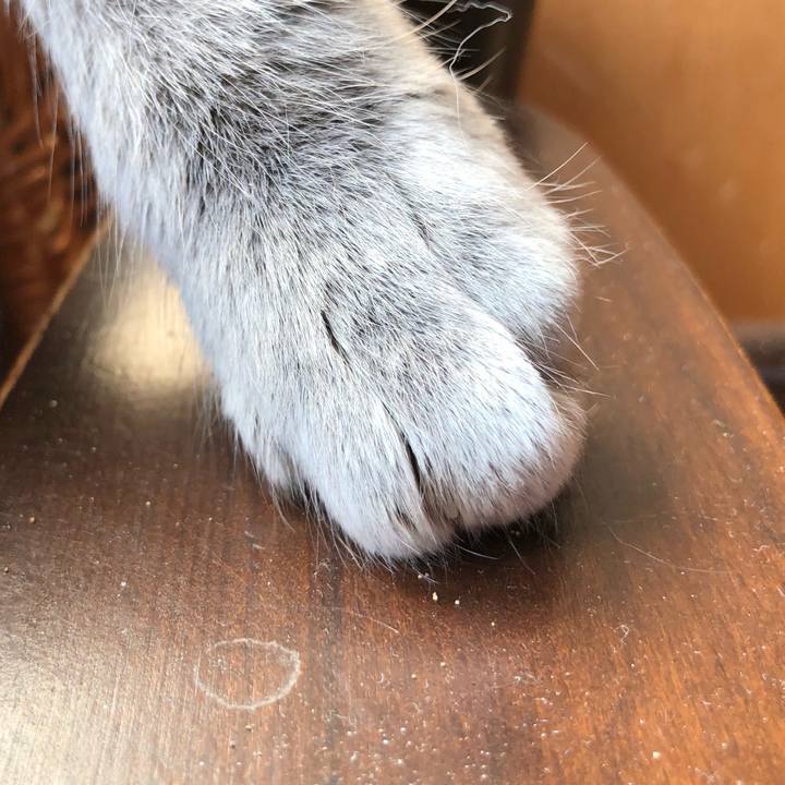 648d2a74 9629 4b96 ad28 65b0581e1371 1773675451865