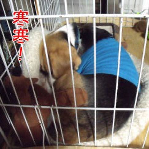 648d3ba2 aaf9 46a0 9d85 2231d2b93ece 1703464124575