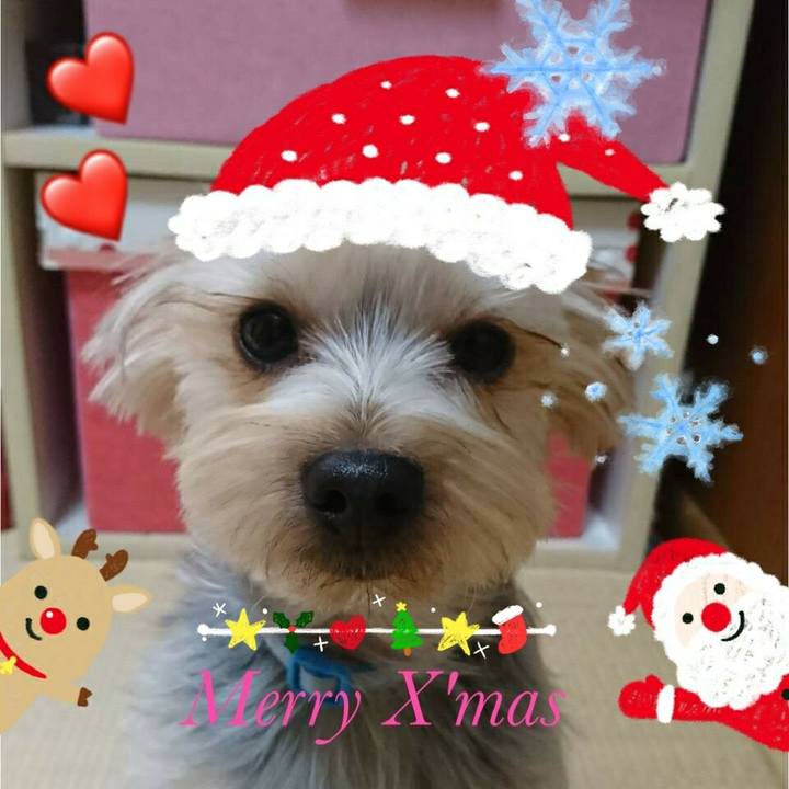 648d5f22 f6ff 46e6 96da 8a546f0cebab 1513397849927