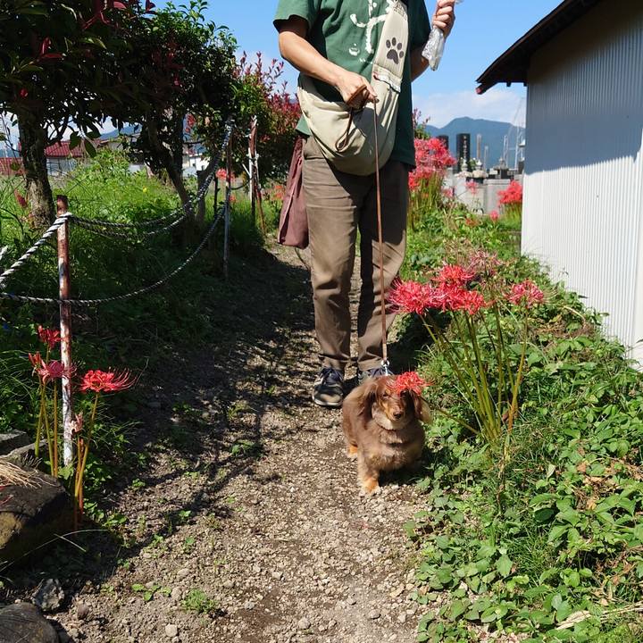 648d8024 2490 4c2c a07d 34990f110e5d 1632372385653