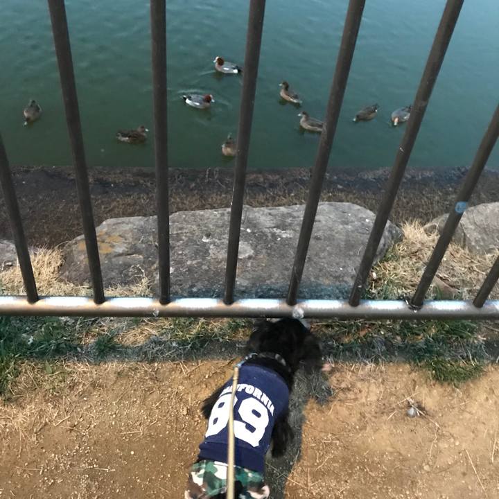 648d81c8 88db 4349 bf9d dbcb6c53c1e0 1552133139310