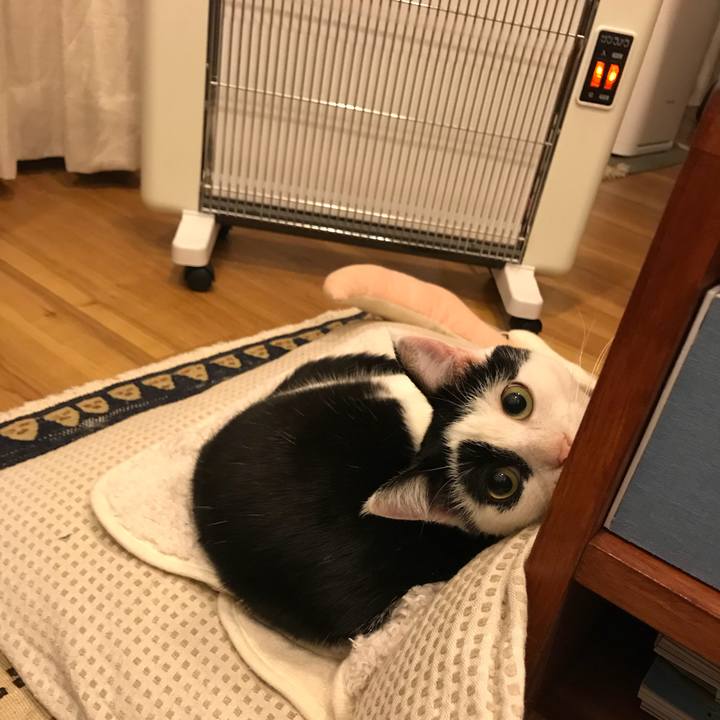 648d82b4 13aa 4ea9 b447 4e61549640b5 1513078478641