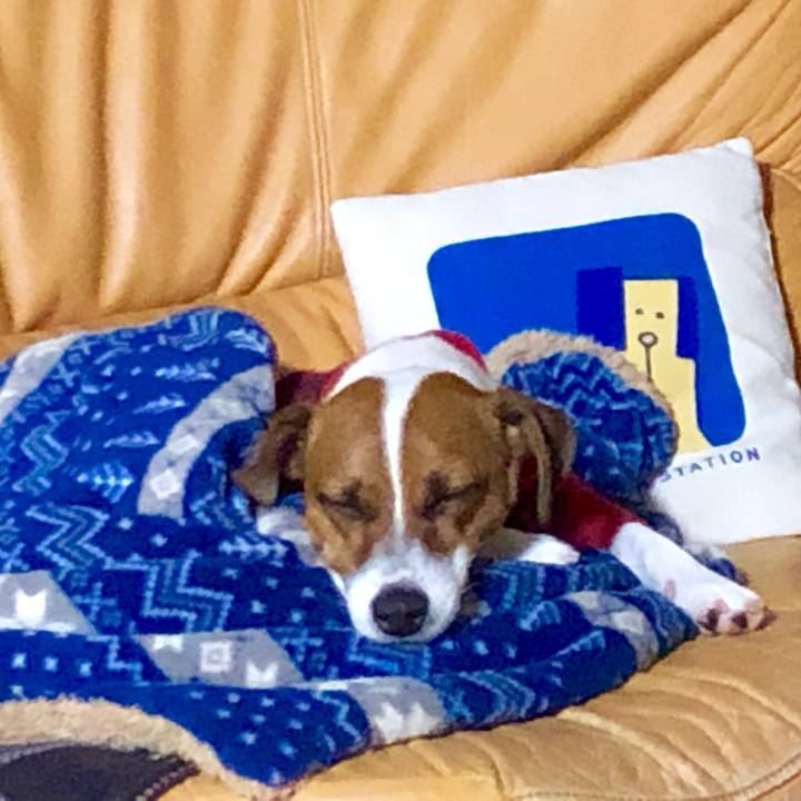 648da914 481d 4a37 8642 c5dfa9db30ee 1543928974102