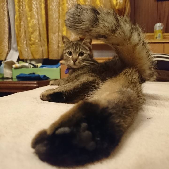 648db2cc fe9b 4d7f 927d 6f066f05eed7 1554648053409