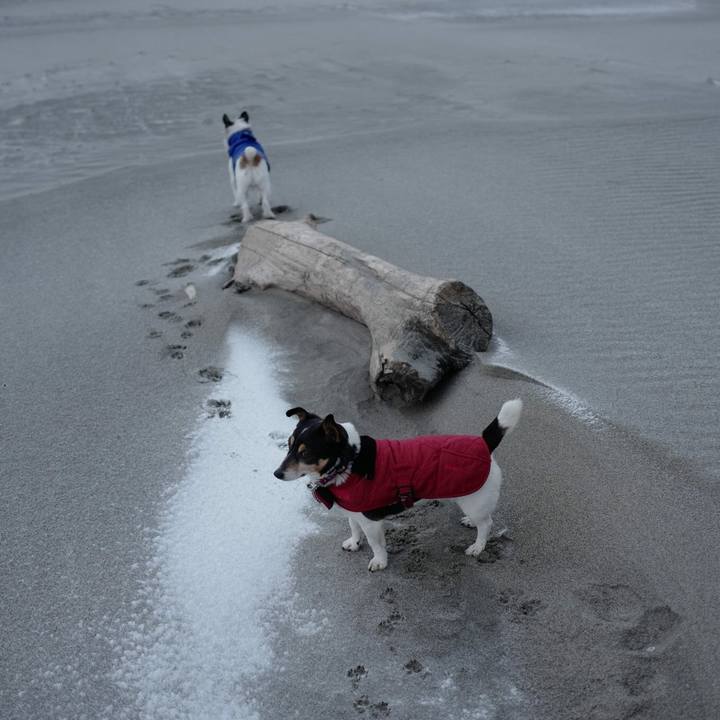 648dcc23 7d22 46fe a2bc 0132d1b2e884 1517028620933