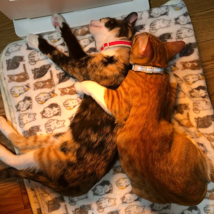 648dd578 3028 49ff 8706 1c04781c1b70 1546177389947