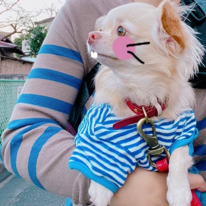 648ddae5 b267 4448 81ea b00dcae97c0a 1636006040731