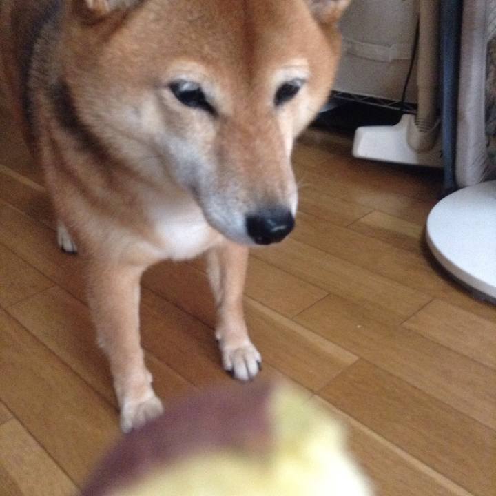 648deb64 7fe6 4b59 8c33 409022f74ed8 1534927080951