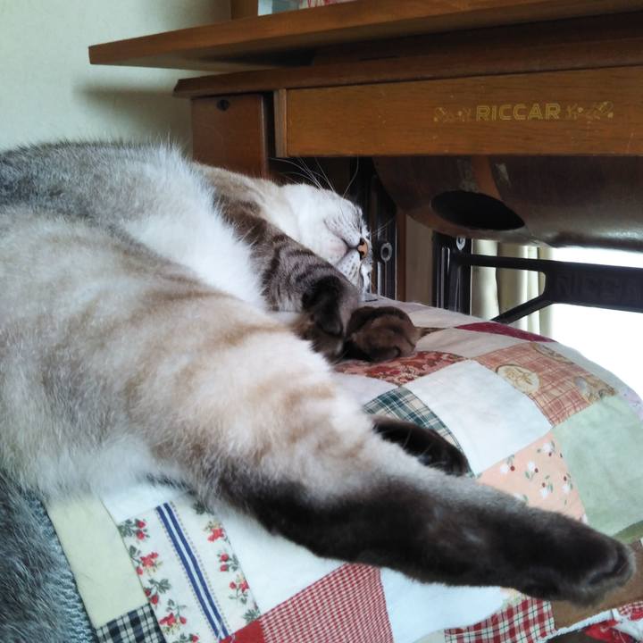 648e5d8b e904 4c68 b0ec ccf0a27165f2 1629178505343