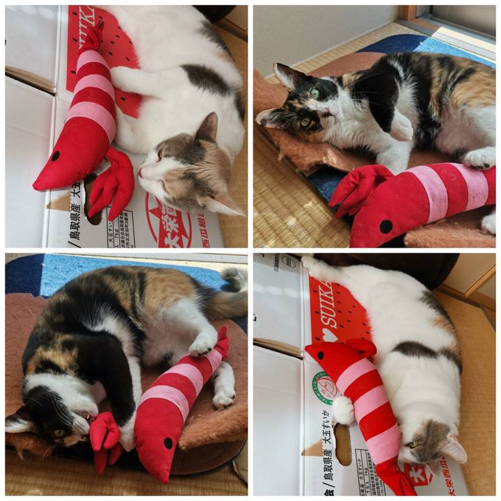 648e6007 29d9 4b20 919b d9a3742e3ea9 1628218670788