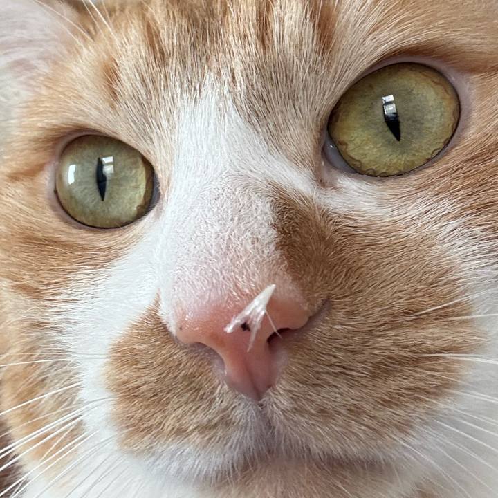648e9bdd bd4a 43d6 bf76 ae8ff7c64cc5 1737867178364