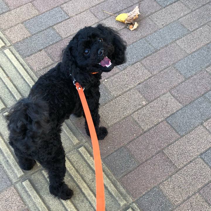 648edb28 3d41 4a42 a6e6 9889e05a37c2 1533346782137