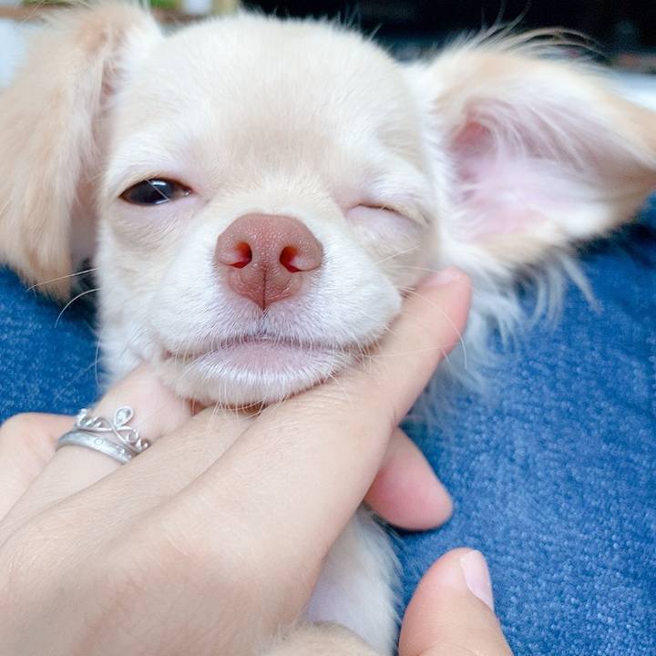 648eed05 9434 4e66 924d 99c53e6ccd9d 1593402890988