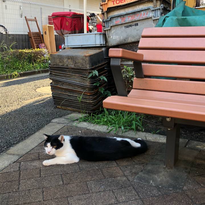 648f0c85 3bf1 4cfc 9c95 4051714e3df1 1599974145672