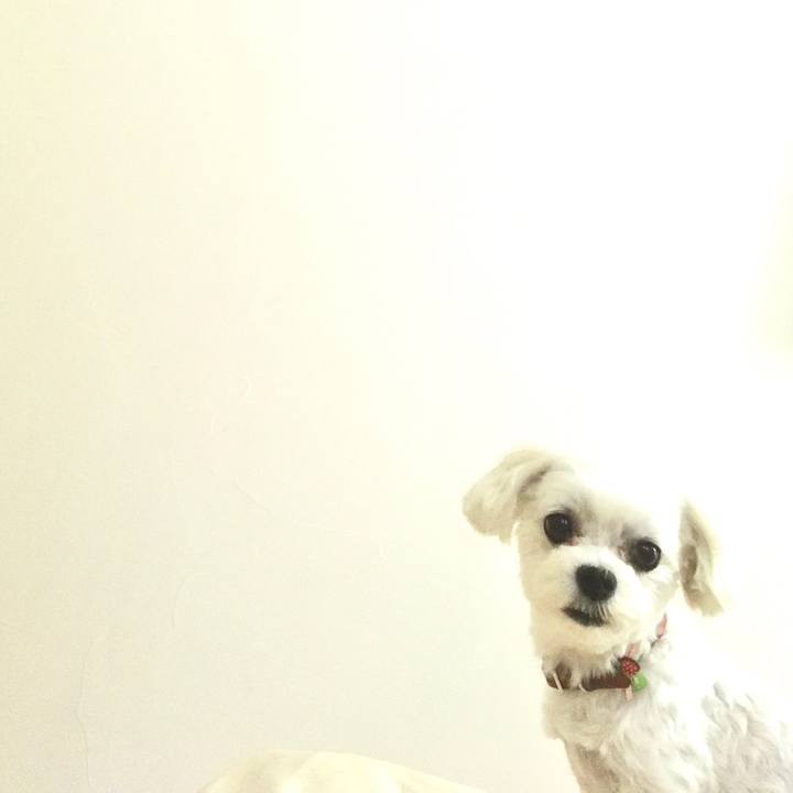 648f4ae3 9528 4c8f b6d5 5be2bf390c7b 1596671042808