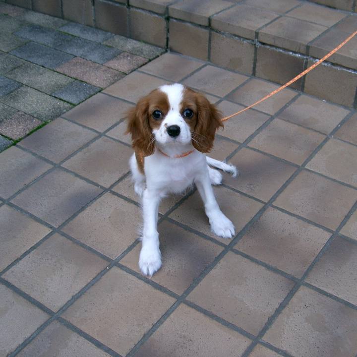 648f65dd efbb 4ba2 9290 3c25dd070e5b 1565413486755