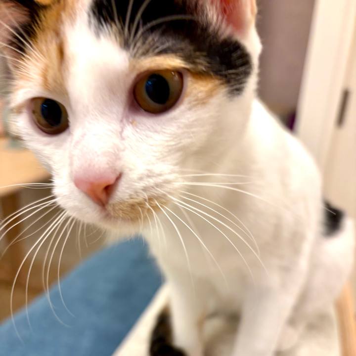 648f6beb 0c23 4b87 af1c 9b9708208ef7 1763770322651