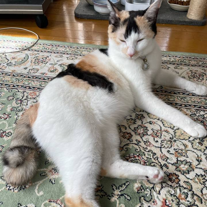 648f8041 e710 4703 9c99 fc1ea92f5148 1694061504356