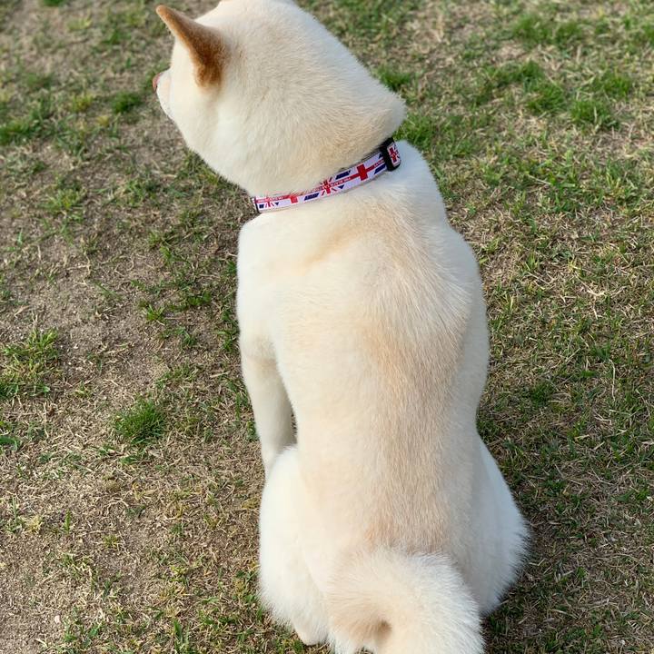 648f9da9 1fbb 4e16 bb3e 1f57ffed5da3 1555802763468