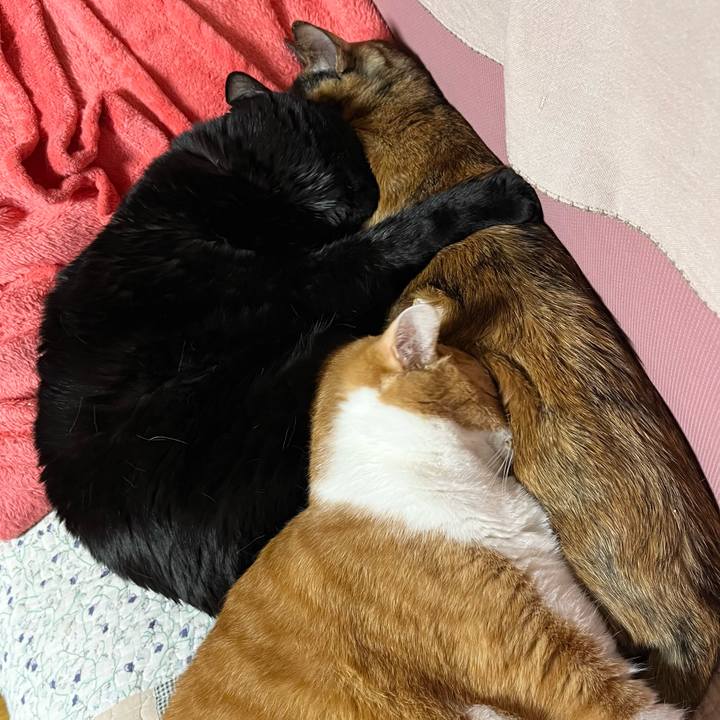 648fa0a7 d299 4161 82bb a0a71e377fb2 1768721429530